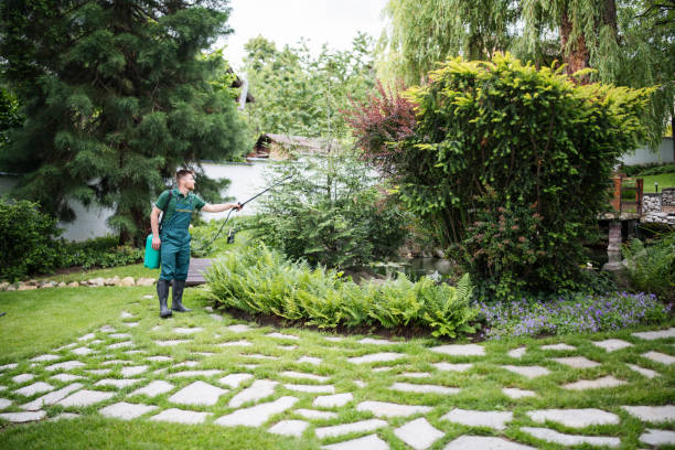 Best Best Pest Control Companies  in Seymour, TN
