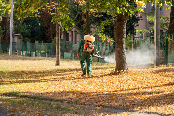Reliable Seymour, TN Pest Control Solutions