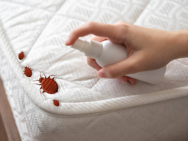 Best Commercial Pest Control Services  in Seymour, TN