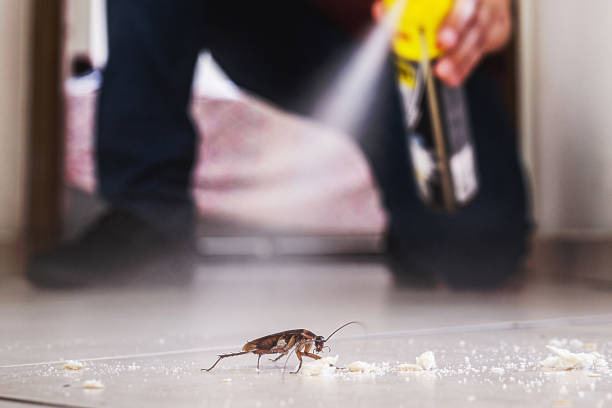 Best Pest Prevention Services  in Seymour, TN